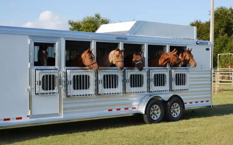 A trailer horse with horse heads visible
